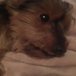 Meet your Posher, Jesse